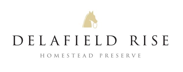 Delafield Rise Quick Logo