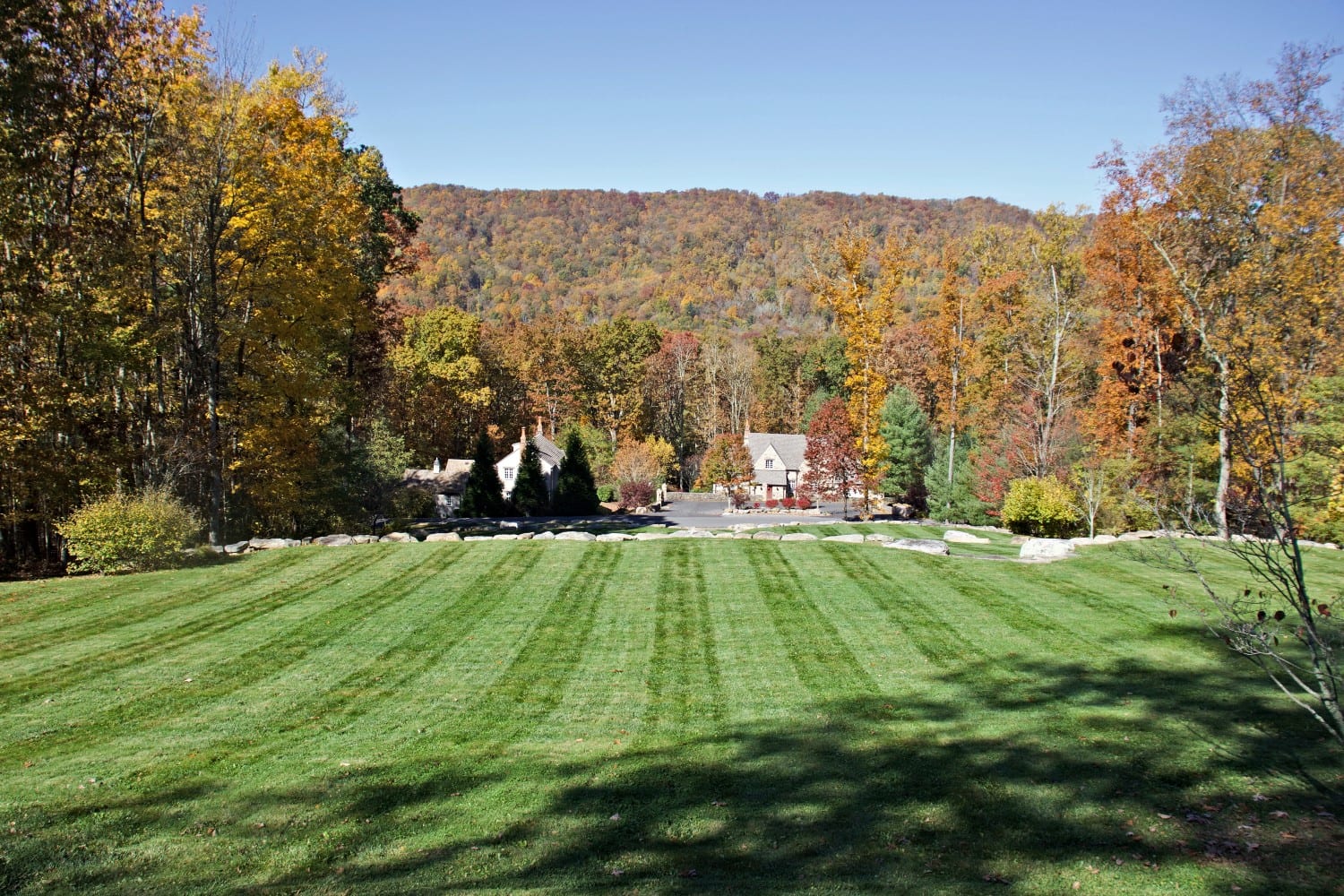 Sheep Meadow Neighborhood In The Preserve